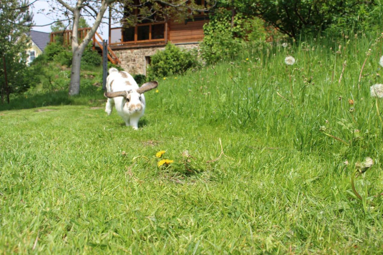 Ferienzimmer Koenig Breitenbrunn  Dış mekan fotoğraf